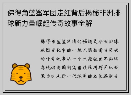 佛得角蓝鲨军团走红背后揭秘非洲排球新力量崛起传奇故事全解